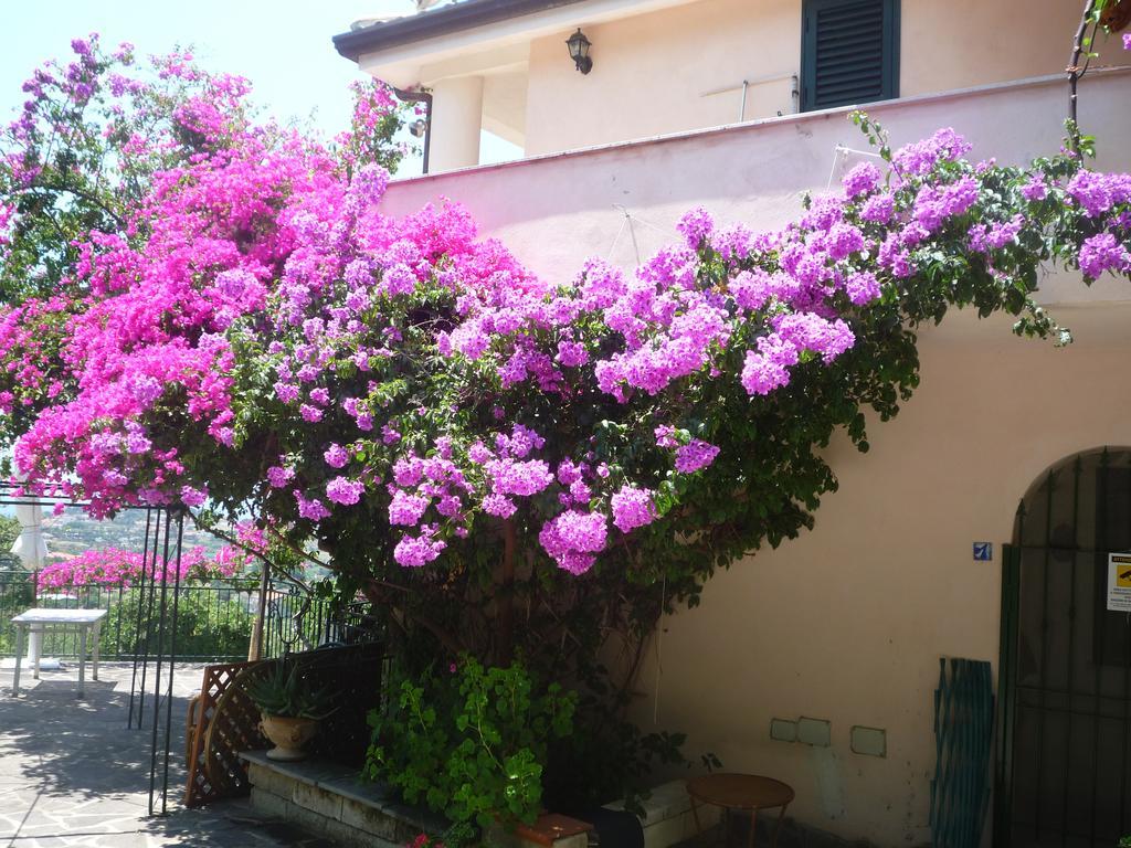 Villa Panthea Capo Vaticano Eksteriør bilde